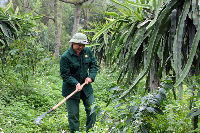 Khi người lính trở về