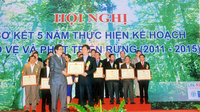 Sức xuân Long Đại