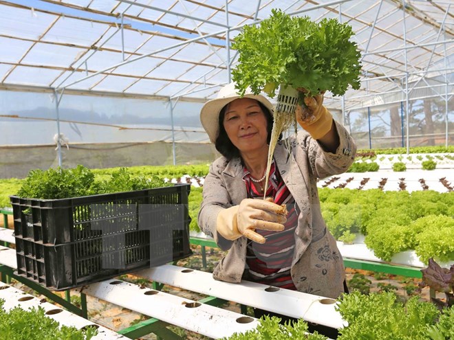6 thị trường trọng điểm xuất khẩu nông lâm thủy sản trong năm 2016