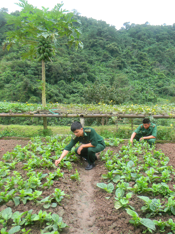 Bình yên nơi biên cương