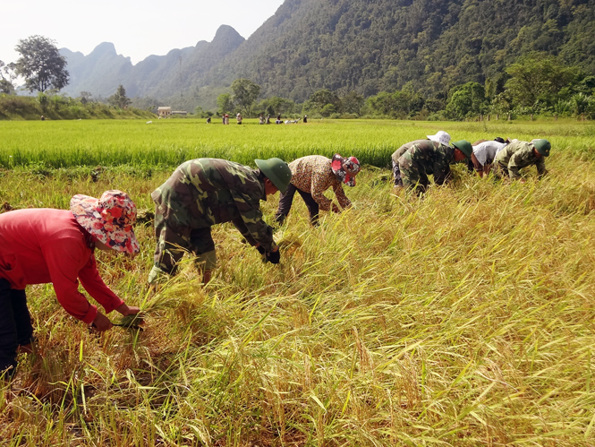 Huy động nguồn lực bảo vệ chủ quyền an ninh biên giới