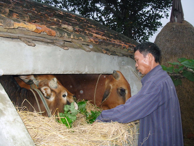 Một người mù làm kinh tế giỏi