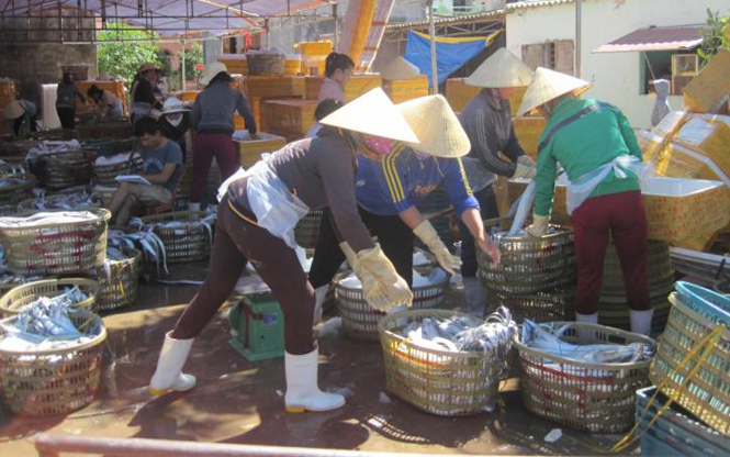 Sản lượng thuỷ sản 2 tháng đầu năm tăng 8,7%