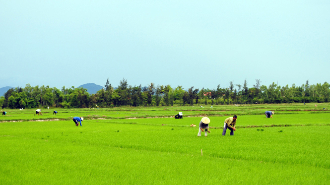 Quảng Long chuyển mình