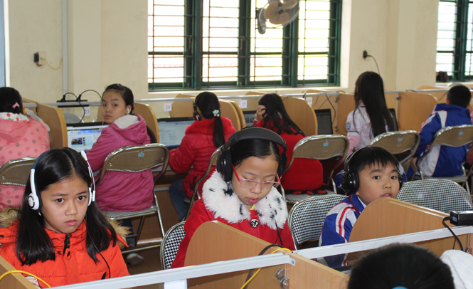 221 học sinh đạt giải cấp tỉnh kỳ thi Olympic tiếng Anh trên internet