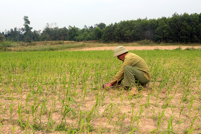 Không lùi bước trước khó khăn