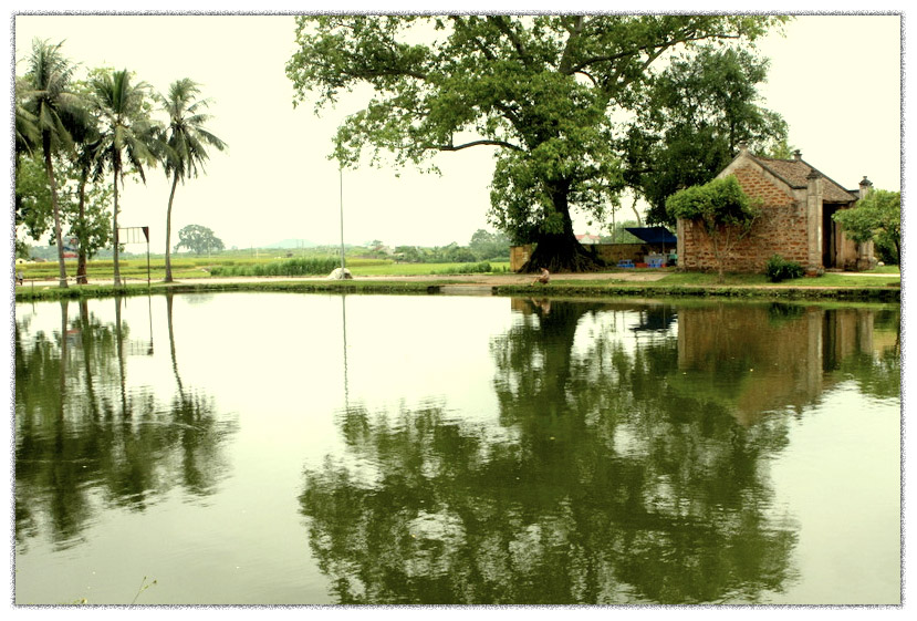 Cố hương