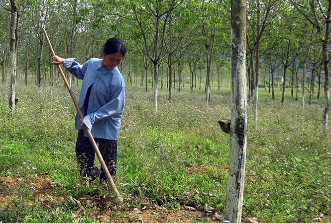 Minh Hóa với phong trào thi đua "Dân vận khéo"