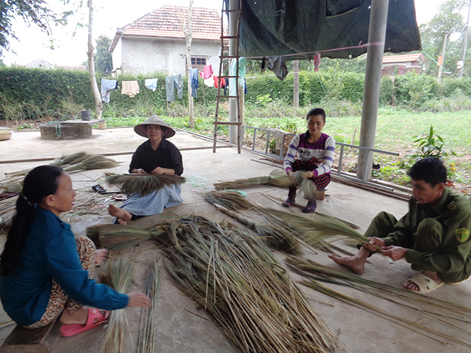 Làm chổi đót cho thu nhập khá