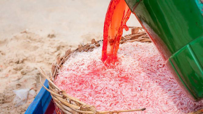 Kết quả kiểm nghiệm: Phẩm màu nhuộm ruốc ở Phú Yên có độc