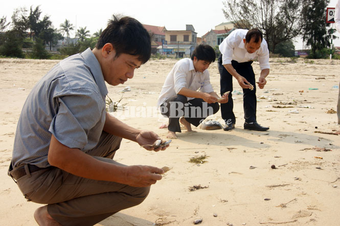 Hiện tượng cá chết bất thường ở vùng biển Quảng Bình