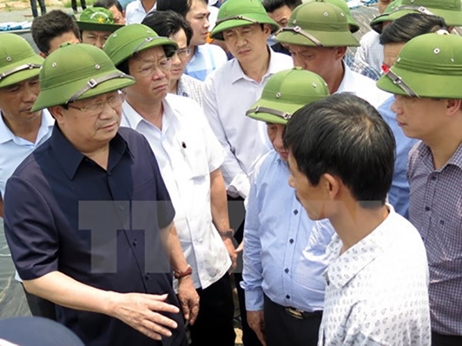 Cá chết trắng bờ biển miền Trung:Sẽ chính thức kết luận trong tuần này