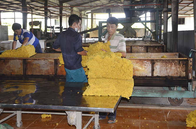 Xuất khẩu gặp khó khăn