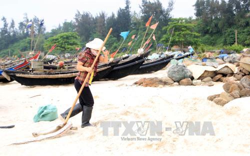 Giảm thiểu tác hại của hiện tượng cá chết hàng loạt