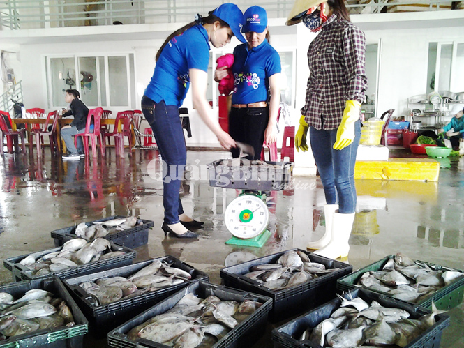 Siêu thị Co.opmart Quảng Bình tổ chức thu mua hải sản đánh bắt xa bờ