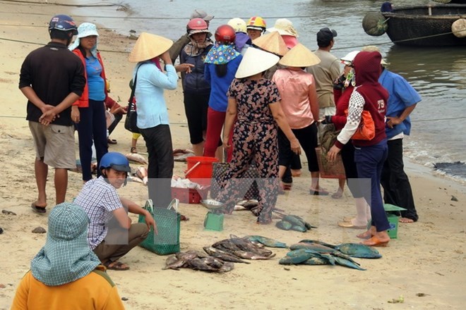 Ngân hàng Chính sách hỗ trợ khắc phục hậu quả vụ cá chết hàng loạt