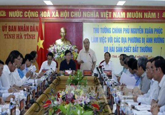 Thủ tướng: Không dung túng vi phạm trong vụ cá chết bất thường