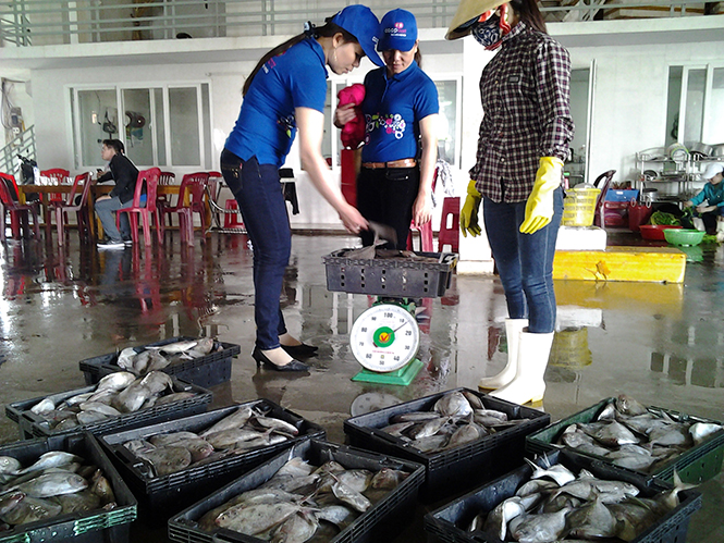 Ngư dân Cảnh Dương vượt khó khăn quyết tâm bám biển