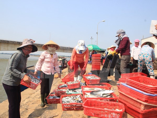Cấp giấy xác nhận hải sản khai thác tại vùng biển an toàn
