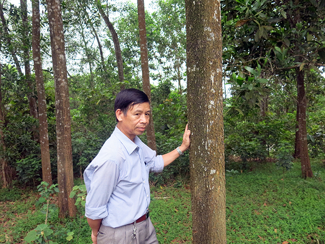 Những người đi mở đất