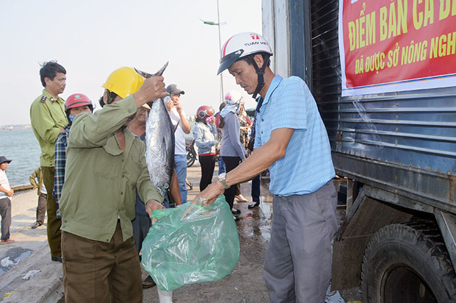 Sự vào cuộc quyết liệt, đầy trách nhiệm