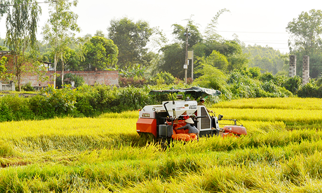 Ngành Nông nghiệp Quảng Bình ứng phó với biến đổi khí hậu - Bài 1: Hiểm họa của biến đổi khí hậu