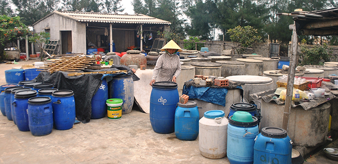 Hiệu quả từ mô hình dịch vụ hậu cần nghề cá ở Thanh Trạch
