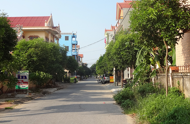 Hiệu quả của một mô hình