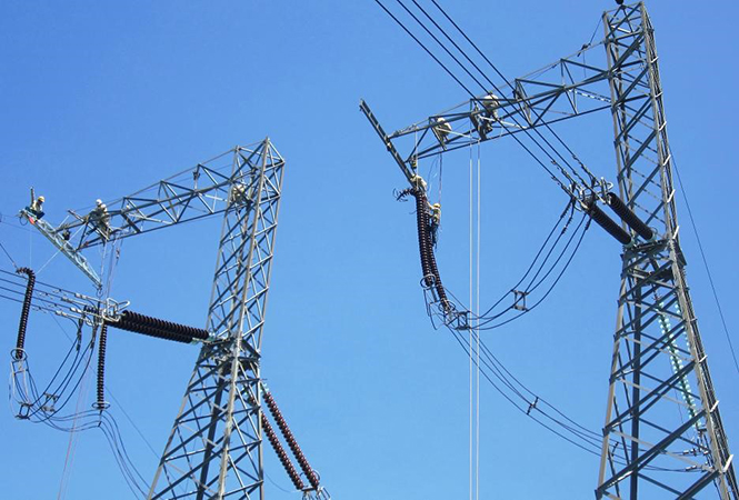 Chú trọng các biện pháp vận hành an toàn các đường dây truyền tải điện trên địa bàn tỉnh
