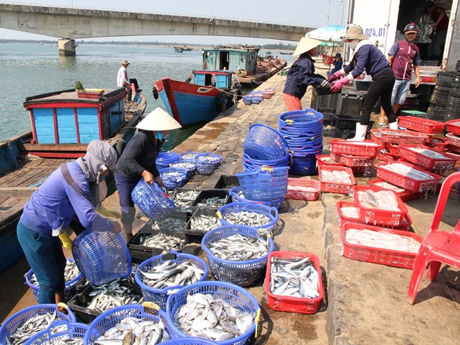 Kim ngạch xuất khẩu nông lâm thuỷ sản đạt hơn 15 tỷ USD trong 6 tháng