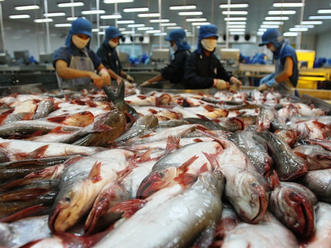 Ngành thủy sản đối mặt với hàng loạt khó khăn, ngư dân điêu đứng