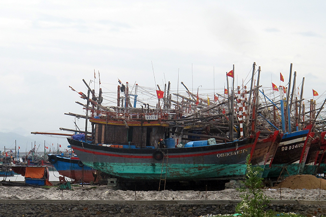 Ngư dân Quảng Trường vươn khơi