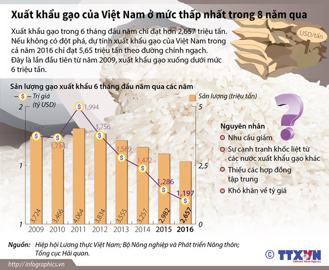 Xuất khẩu gạo của Việt Nam ở mức thấp nhất trong 8 năm qua