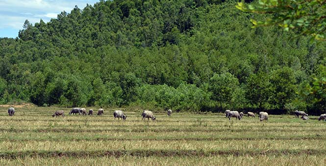 Quảng Ninh: Nhiều chuyển biến trong phát triển kinh tế