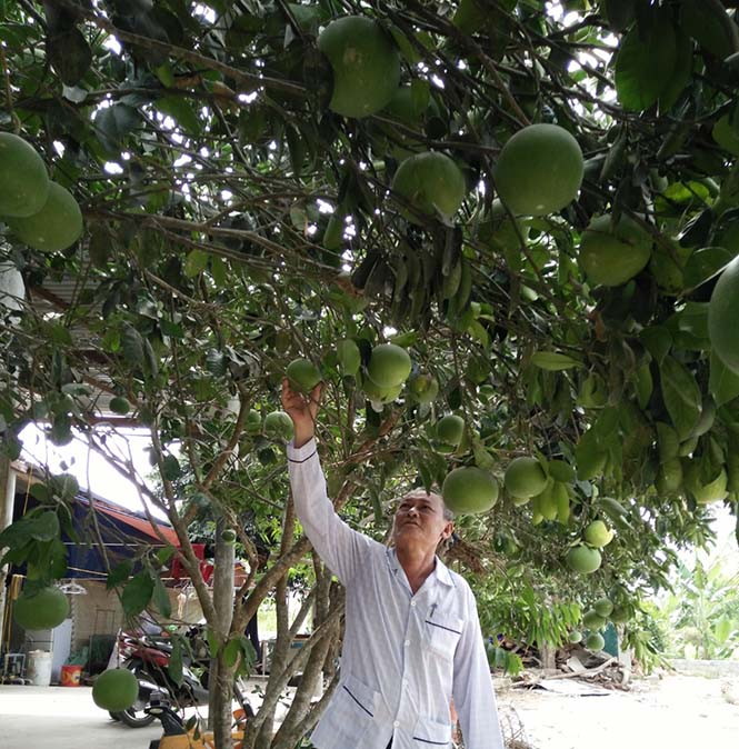 Phát triển kinh tế trang trại, gia trại: Hướng làm giàu bền vững ở Quảng Trạch