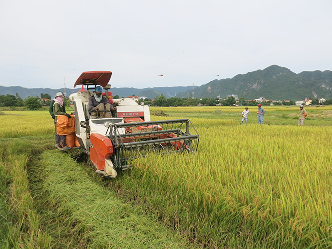 Khi "trâu sắt" lên núi