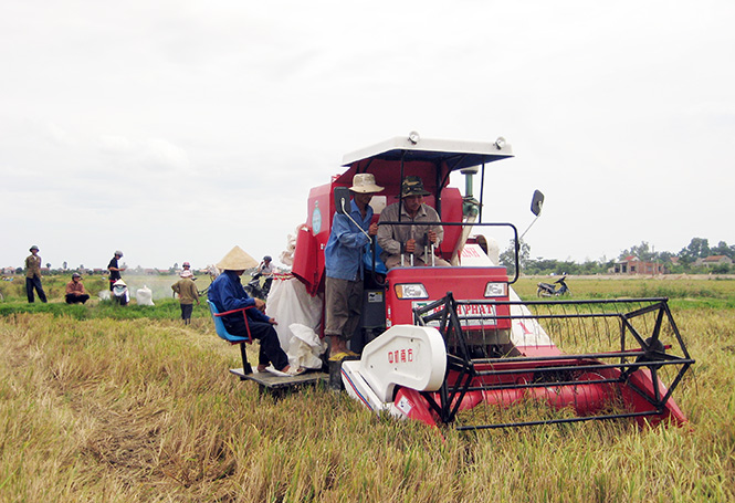 Tập trung giải quyết những bức xúc của dân