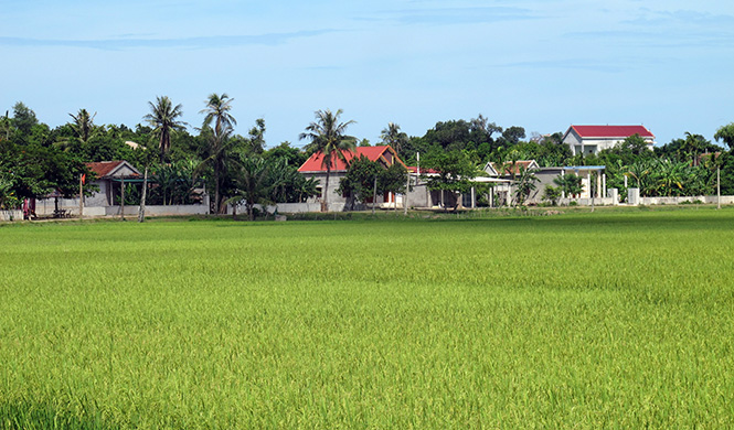 Quảng Lưu quyết tâm cán đích nông thôn mới trong năm 2016
