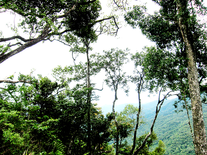 Chinh phục U Bò