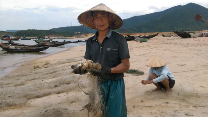 Cuối tháng 8 công bố "ăn cá được chưa"
