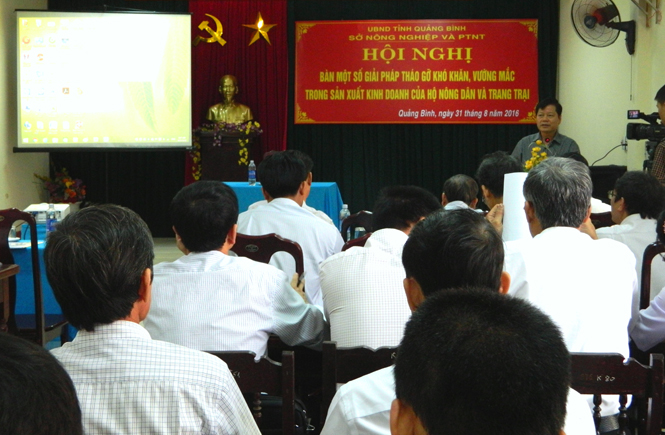Bàn giải pháp tháo gỡ khó khăn trong sản xuất, kinh doanh cho hộ nông dân và chủ trang trại