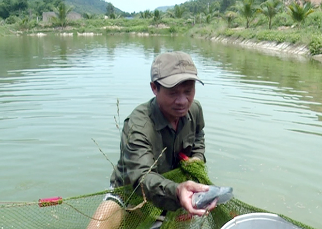 Làm giàu từ mô hình kinh tế tổng hợp