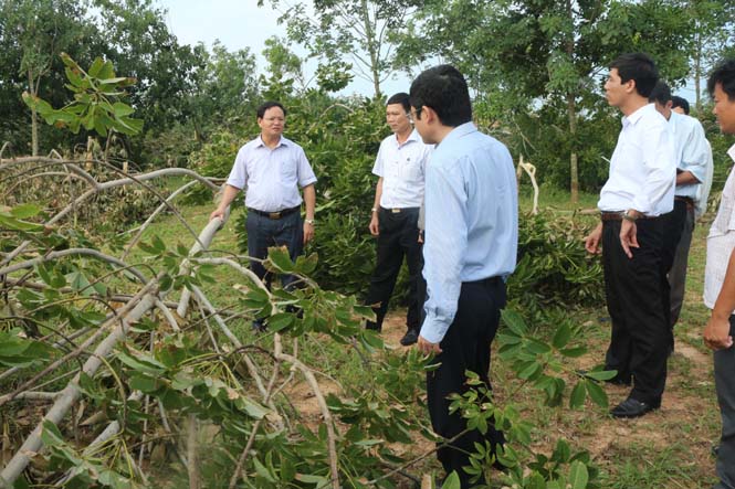 Đồng chí Phó Chủ tịch UBND tỉnh kiểm tra công tác khắc phục ảnh hưởng hoàn lưu bão số 4 tại Bố Trạch