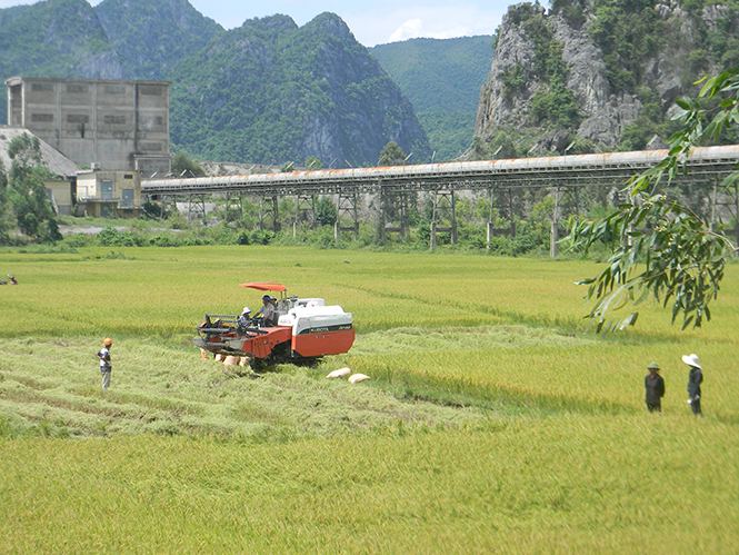 Nông dân Tuyên Hóa: Tích cực thi đua sản xuất kinh doanh giỏi