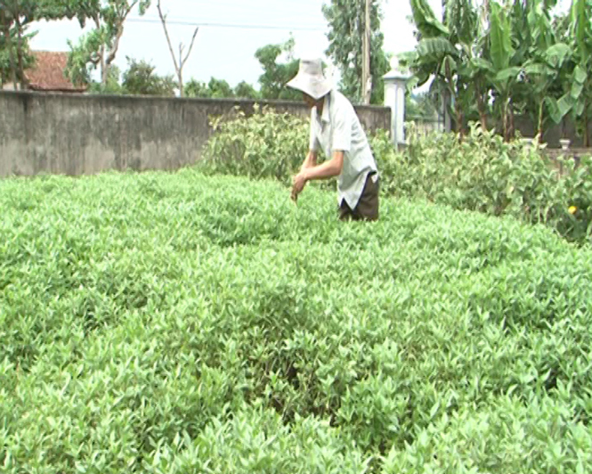 Bước đường hoàn lương