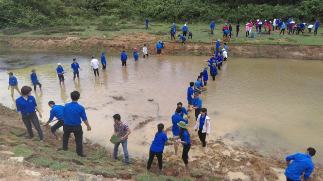 Tuổi trẻ Bố Trạch: Tình nguyện vì cuộc sống cộng đồng, an sinh xã hội