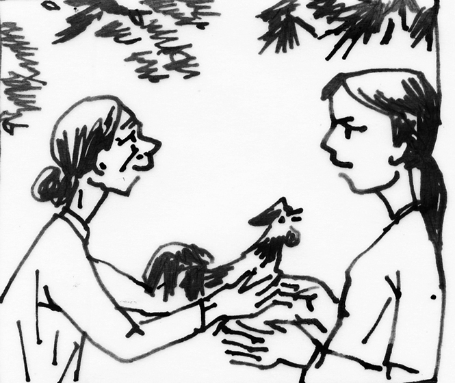 Con gà trống