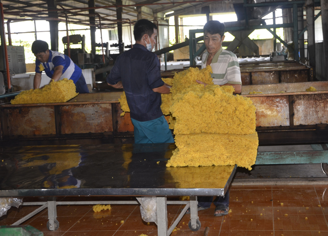 Giá trị kim ngạch xuất khẩu cao su giảm hơn 65%