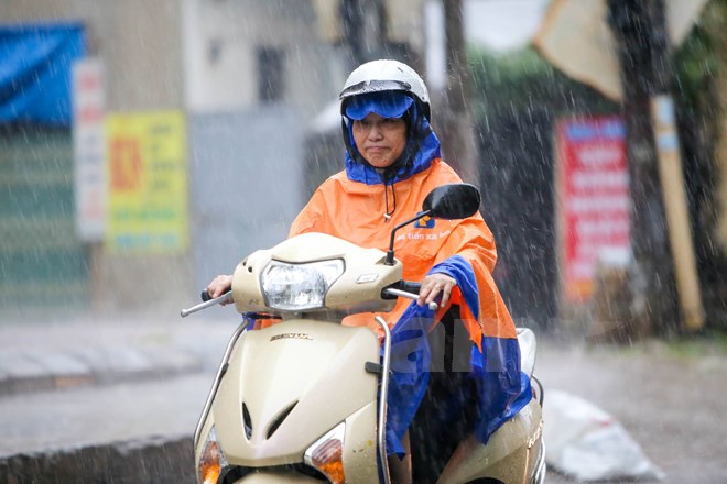 Miền Bắc mát mẻ, Nam Bộ mưa dông đề phòng gió giật mạnh