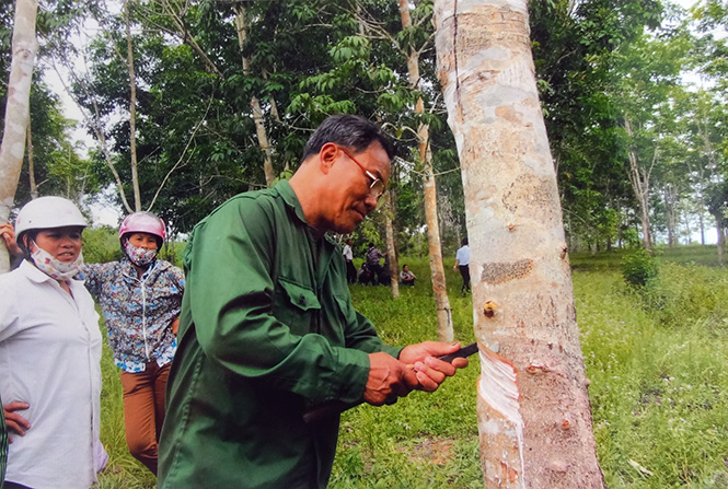 "Quyết tâm xóa hộ đói, giảm hộ nghèo"